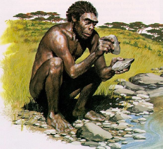 El Homo habilis fue el primero en utilizar herramientas elaboradas