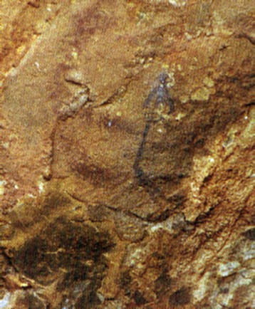 La capacidad artística del hombre prehispánico quedo de manifiesto en las pinturas rupestres
