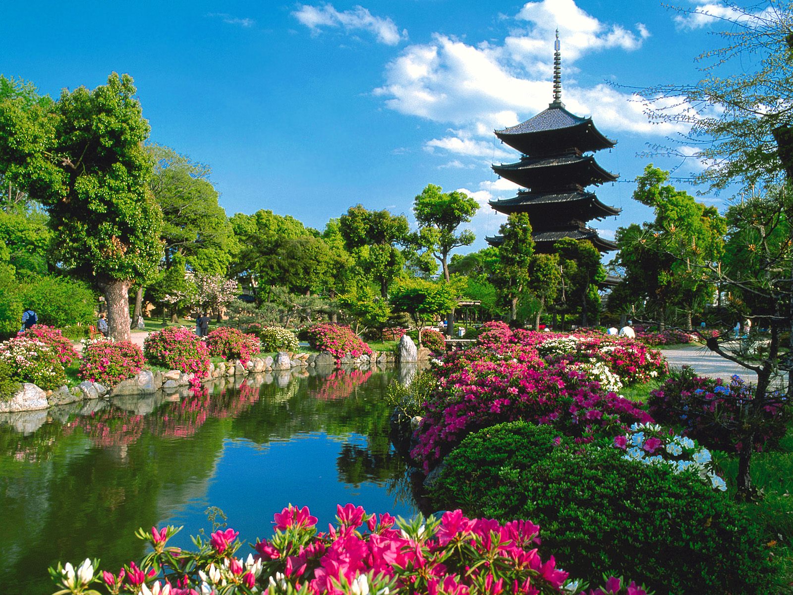 Característica de Kyoto es la belleza de sus constrtucciones  y jardines