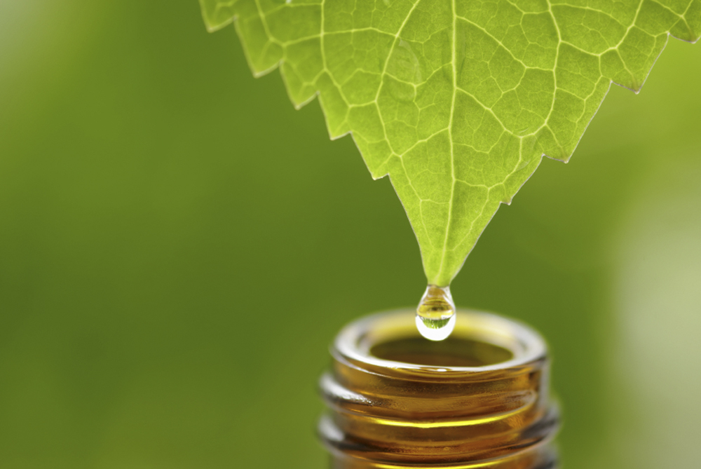 Qué es la homeopatía y cómo funciona